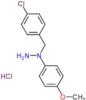 1-(4-chlorobenzyl)-1-(4-methoxyphenyl)hydrazine hydrochloride