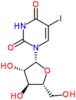 1-(beta-D-arabinofuranosyl)-5-iodopyrimidine-2,4(1H,3H)-dione