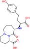 (1S,9S)-9-{[(1S)-1-carboxy-3-(4-hydroxyphenyl)propyl]amino}-10-oxooctahydro-6H-pyridazino[1,2-a][1…