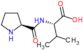 L-Valyl-L-proline