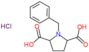 1-benzylpyrrolidine-2,5-dicarboxylic acid hydrochloride