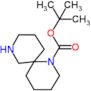 1,1-Dimethylethyl 1,8-diazaspiro[5.5]undecane-1-carboxylate