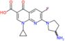 7-(3-aminopyrrolidin-1-yl)-1-cyclopropyl-6-fluoro-4-oxo-1,4-dihydro-1,8-naphthyridine-3-carboxylic…