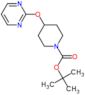 tert-butyl 4-(pyrimidin-2-yloxy)piperidine-1-carboxylate