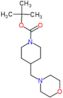 tert-butyl 4-(morpholinomethyl)piperidine-1-carboxylate