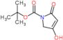 tert-butyl 4-hydroxy-2-oxo-2,5-dihydro-1H-pyrrole-1-carboxylate