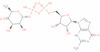 GDP-4-keto-6-deoxy-D-mannose