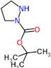 tert-butyl pyrazolidine-1-carboxylate