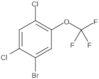 1-Bromo-2,4-dicloro-5-(trifluorometossi)benzene