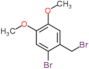 1-Bromo-2-(bromomethyl)-4,5-dimethoxybenzene