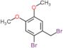 2-Bromo-4,5-dimethoxybenzyl bromide