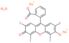 sodium 2-(2,4,5,7-tetraiodo-6-oxido-3-oxo-3H-xanthen-9-yl)benzoate hydrate (2:1:1)