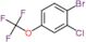 benzene, 1-bromo-2-chloro-4-(trifluoromethoxy)-
