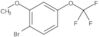 1-Bromo-2-methoxy-4-(trifluoromethoxy)benzene