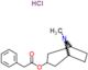 8-methyl-8-azabicyclo[3.2.1]oct-3-yl phenylacetate hydrochloride (1:1)