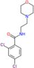 2,4-dichloro-N-[2-(morpholin-4-yl)ethyl]benzamide