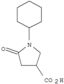 (3R)-1-cyclohexyl-5-oxopyrrolidine-3-carboxylate