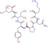 L-lysyl-L-asparaginyl-L-prolyl-L-tyrosyl-L-isoleucyl-L-leucine