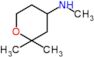 N,2,2-trimethyltetrahydropyran-4-amine
