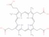 Coproporphyrin III