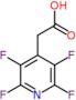 (2,3,5,6-tetrafluoropyridin-4-yl)acetic acid