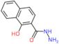 1-hydroxynaphthalene-2-carbohydrazide