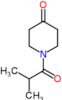 1-(2-methylpropanoyl)piperidin-4-one