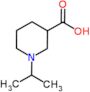 1-(propan-2-yl)piperidine-3-carboxylic acid