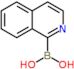1-isoquinolylboronic acid