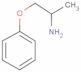 1-methyl-2-phenoxyethylamine