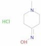 4-Piperidinone, 1-methyl-, oxime, hydrochloride (1:1)