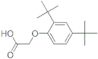 (2,4-DI-TERT-BUTYLPHENOXY)ACETIC ACID