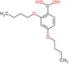 (2,4-dibutoxyphenyl)boronic acid