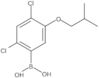 B-[2,4-Dichloro-5-(2-methylpropoxy)phenyl]boronic acid