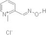 Pralidoxime chloride