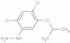 (2,4-Dichloro-5-isopropoxyphenyl)hydrazine