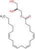 1-Monoarachidin