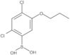 B-(2,4-Dichloro-5-propoxyphenyl)boronic acid