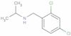 2,4-dichloro-N-isopropylbenzylamine