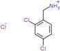 (2,4-dichlorophenyl)methanaminium chloride