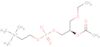 (2R)-2-(acetyloxy)-3-ethoxypropyl 2-(trimethylammonio)ethyl phosphate