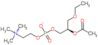 (2R)-2-(acetyloxy)-3-(hexadecyloxy)propyl 2-(trimethylammonio)ethyl phosphate