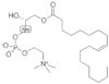 1-oleoyl-sn-glycero-3-phosphocholine