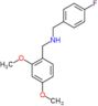 1-(2,4-dimethoxyphenyl)-N-(4-fluorobenzyl)methanamine