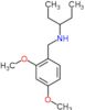 N-(2,4-dimethoxybenzyl)pentan-3-amine