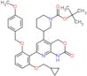 tert-butyl 3-(7-{2-(cyclopropylmethoxy)-6-[(4-methoxybenzyl)oxy]phenyl}-2-oxo-1,4-dihydro-2H-pyrid…