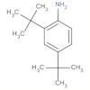 Benzenamine, 2,4-bis(1,1-dimethylethyl)-