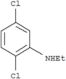 Benzenamine,2,5-dichloro-N-ethyl-