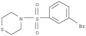 Thiomorpholine,4-[(3-bromophenyl)sulfonyl]-