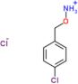 1-[(aminooxy)methyl]-4-chlorobenzene hydrochloride (1:1)